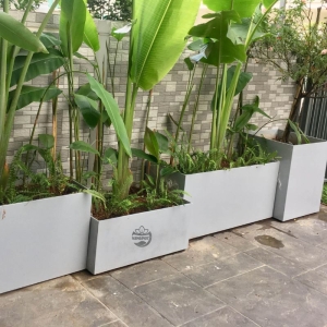Chậu composite hình chữ nhật trồng cây xanh