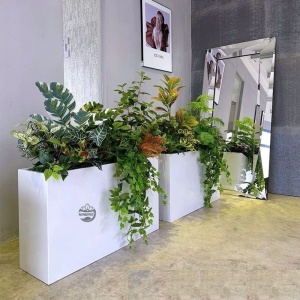 Chậu composite hình chữ nhật trồng cây xanh đặt trong nhà