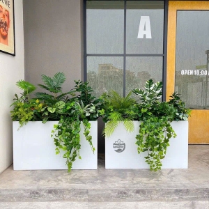 Chậu composite hình chữ nhật đặt trong nhà