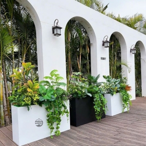 Chậu Composite hình chữ nhật trồng cây đặt ở cổng