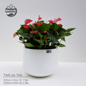 chậu composite tròn Vĩnh Lộc