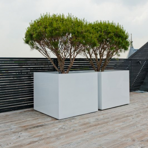 Chậu composite vuông trồng cây kingpot