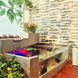 Bể cá tiểu cảnh ban công
