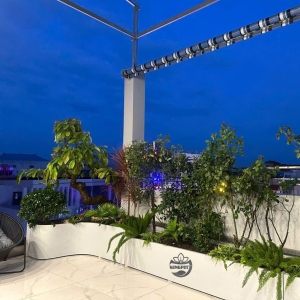 Chậu composite cong ban công đặt sát lan can tạo điểm nhấn mềm mại