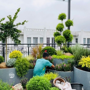 Chậu composite 3 tầng gam màu sang trọng