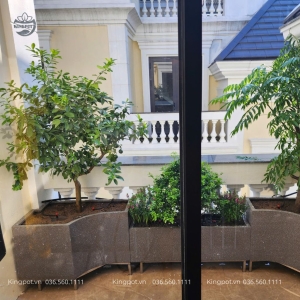 chậu composite theo thiết kế