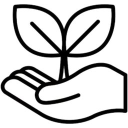 Phụ kiện trang trí