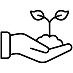 Phụ kiện trang trí