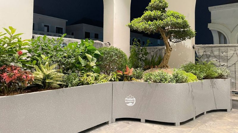 Chậu Composite là gì? So sánh chi tiết với chậu xi măng – chậu men sứ – chậu nhựa truyền thống