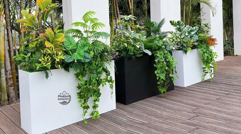 Chậu Composite Hà Nội – Giải Pháp Chậu Trồng Cây Bền Đẹp, Làm Theo Yêu Cầu