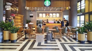 Chậu composite kingpot starbucks hạ long