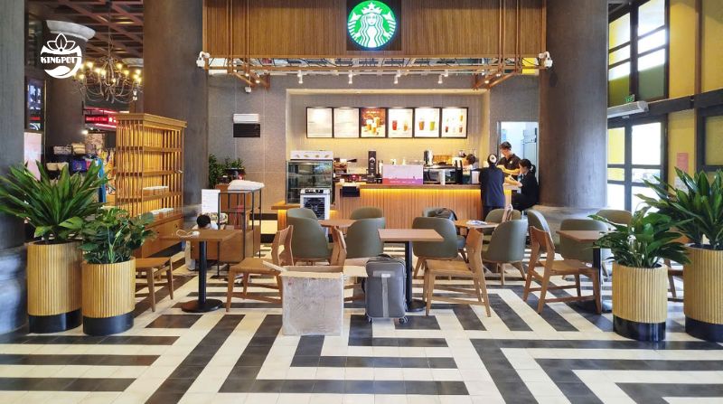 Chậu composite kingpot starbucks hạ long