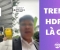 HDPE là gì? Vì sao trend “HDPE là ngon luôn” hot TikTok – Và vì sao HDPE không thể thay thế Composite