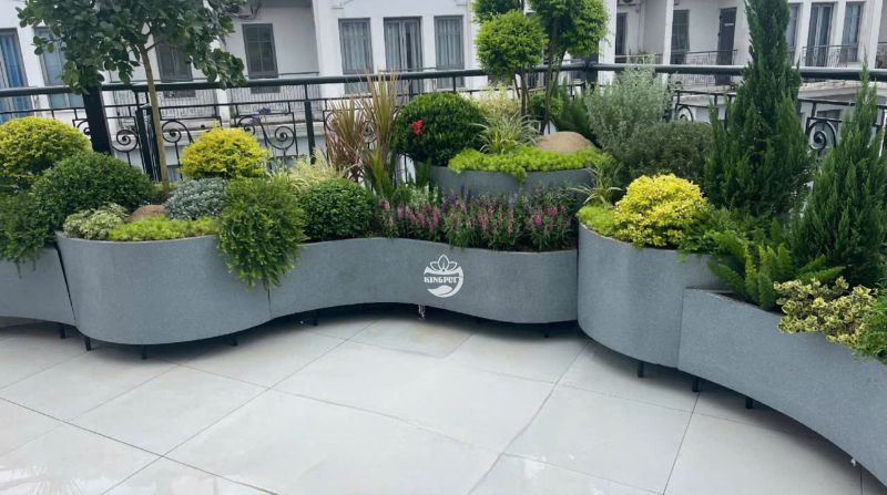 Chậu Composite là gì? So sánh chi tiết với chậu xi măng – chậu men sứ – chậu nhựa truyền thống