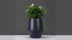 Chậu composite tròn bầu trồng cây