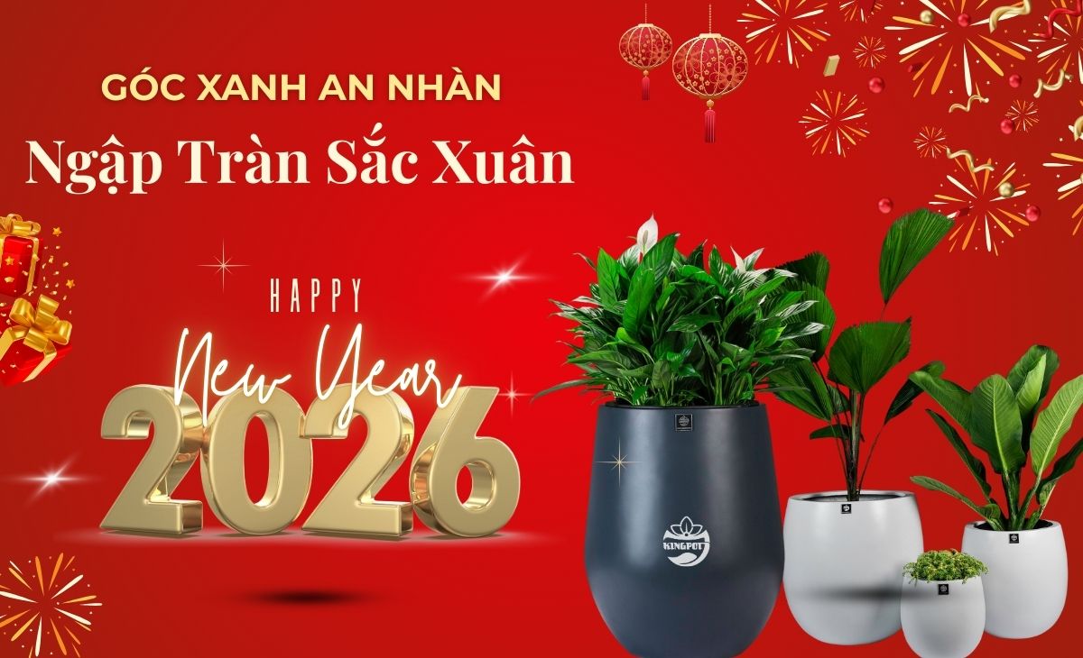 Baner Tết chậu trồng cây composite