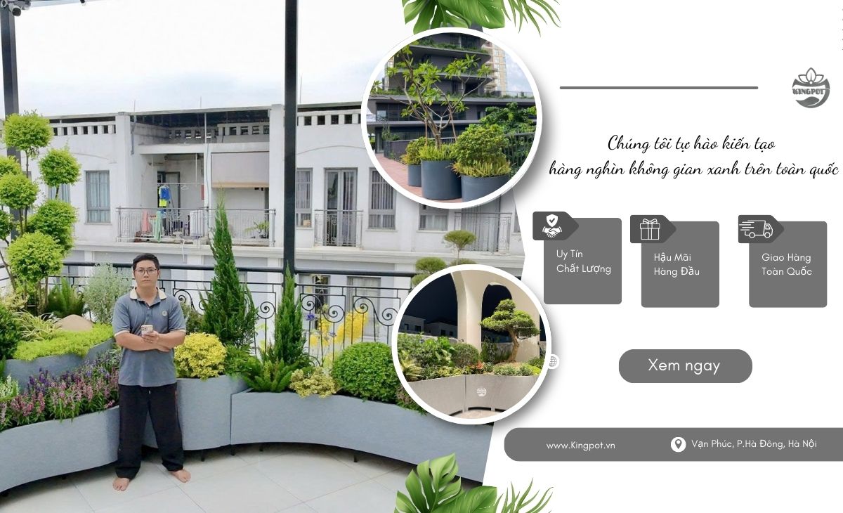 Chậu composite trồng cây