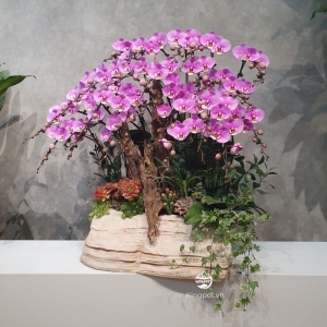 Chậu cây composite giả đá