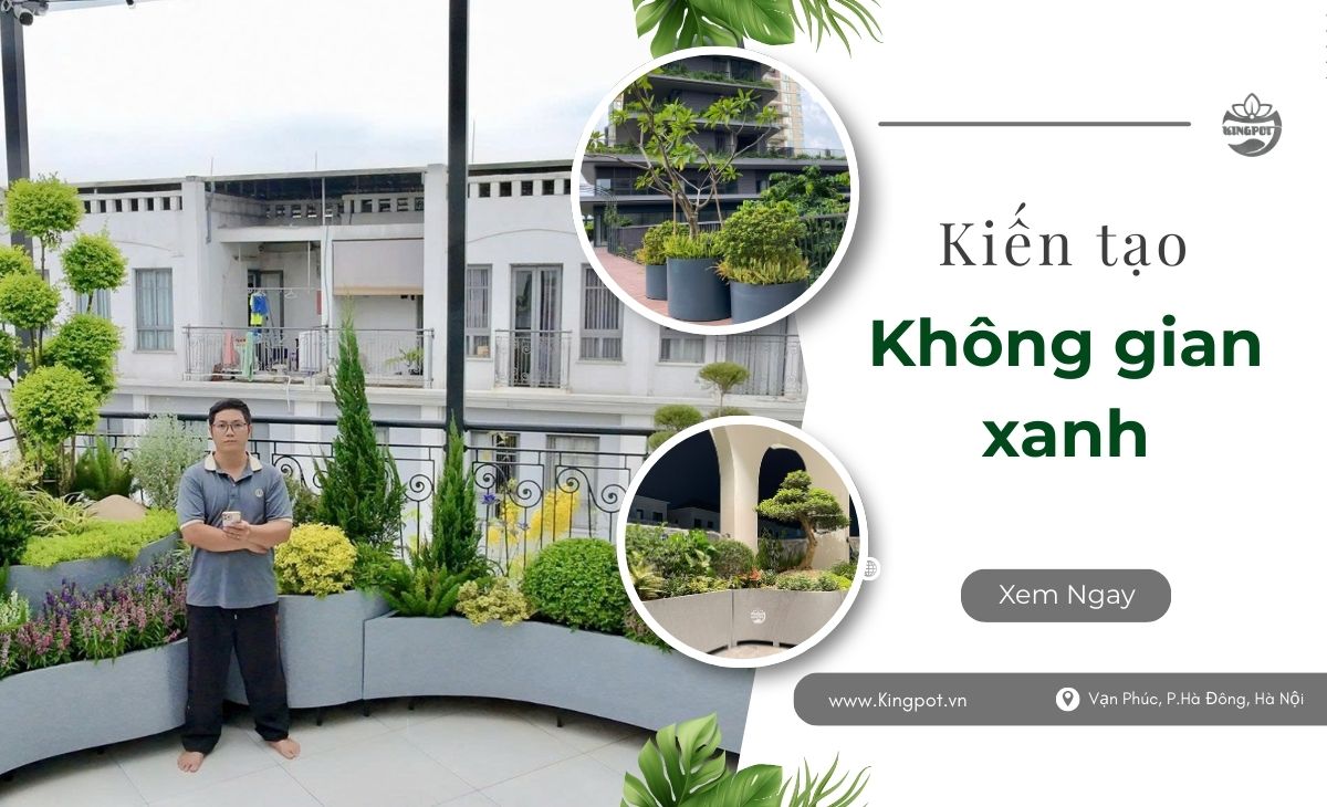 Chậu composite sân thượng theo yêu cầu