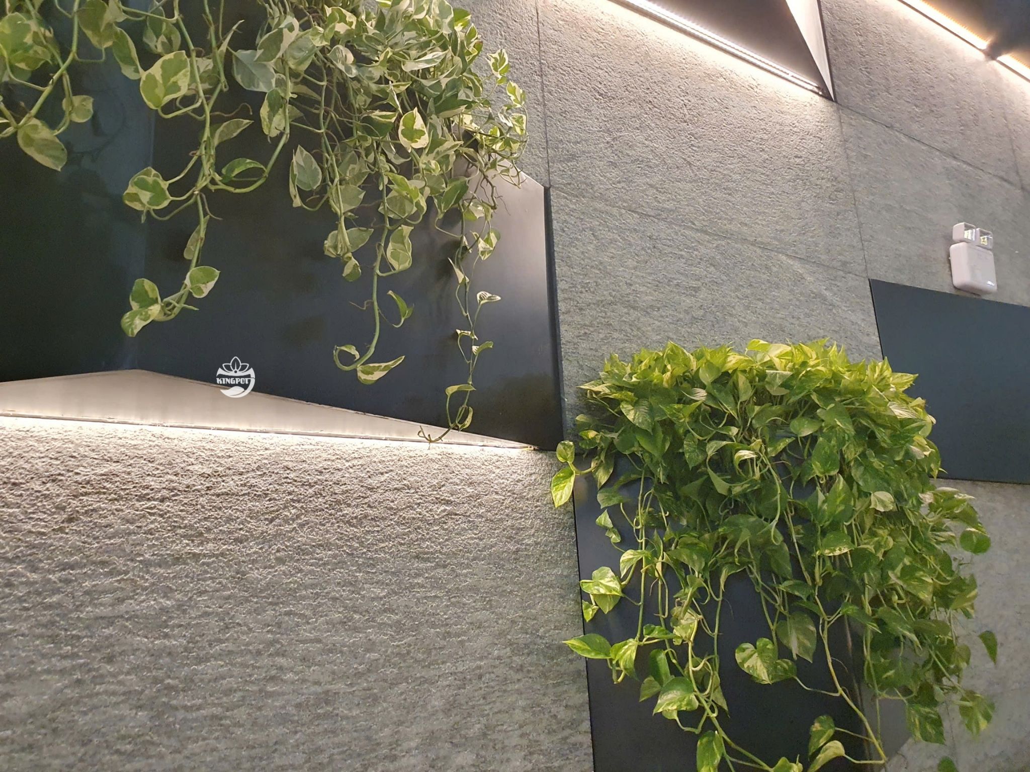 Hệ chậu composite treo cao kết hợp cây rủ tạo cảm giác tự nhiên