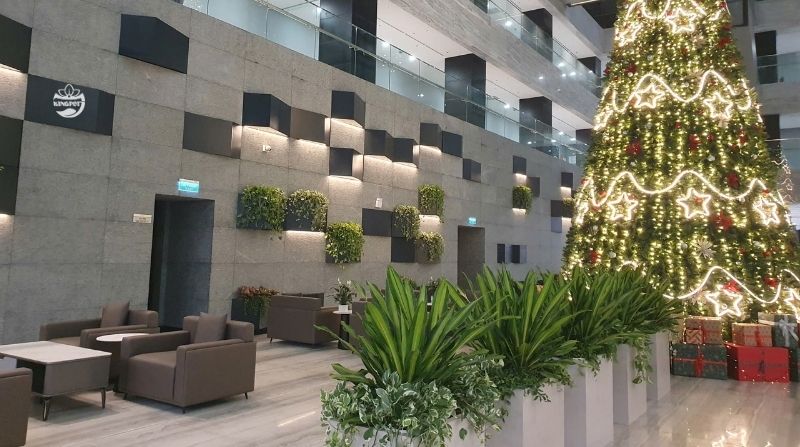 Kingpot thực hiện vườn treo Babylon trên cao cho Tòa nhà Petrolimex