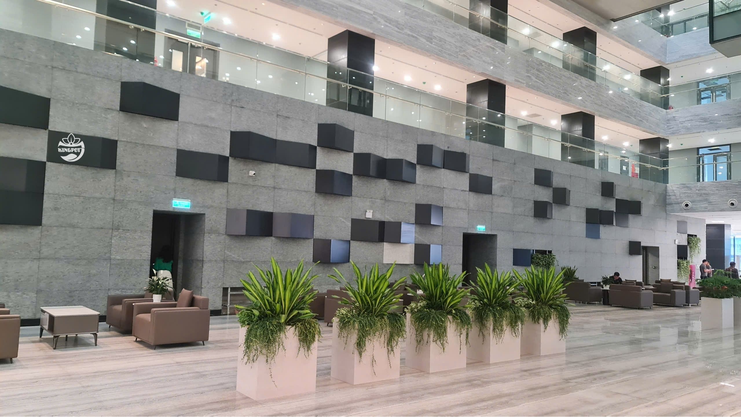 Chậu composite trên cao trang trí sảnh tòa nhà Petrolimex, tạo không gian xanh sang trọng