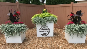 Chậu nhựa PVC hình vuông trồng cây sân vườn